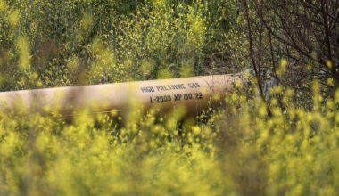 California should help neighborhoods 'decarbonize'