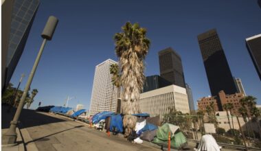 CityWatch LA - Why Are There So Many Homeless People in LA?
