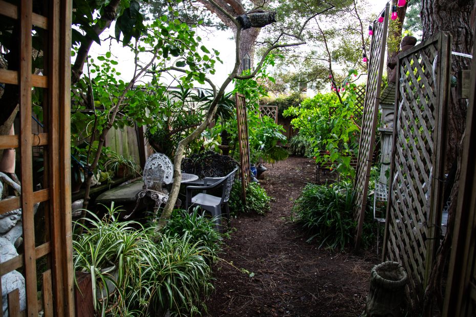 A garden path lined with plants and trees, flanked by trellises, leads to an outdoor seating area with chairs and a table under leafy branches.