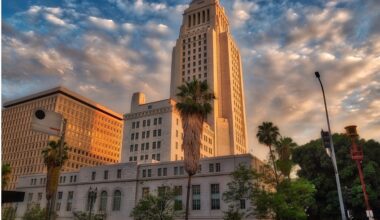 CityWatch LA - The “Everybody Gets a Say” City Council Plan