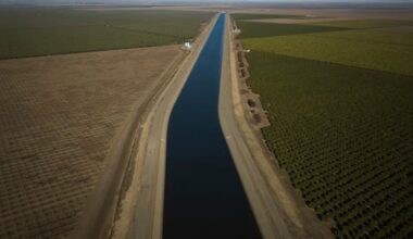 Why farmers in California are backing a giant solar farm
