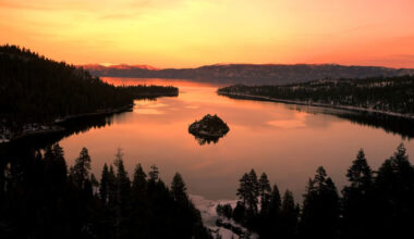 Lawmakers debate future of California’s free state park passes offered at local libraries