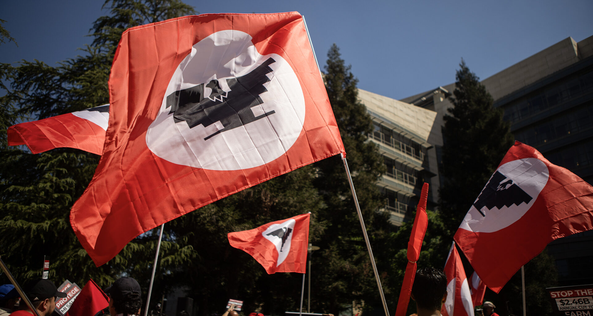 Federal judge weighs H-2A wage cuts to CA immigrant farmworkers- CalMatters