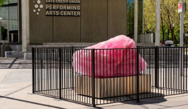 A moonrock’s journey in Sacramento