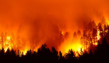 California’s FAIR Plan carries growing load as insurers retreat beyond wildfire zones