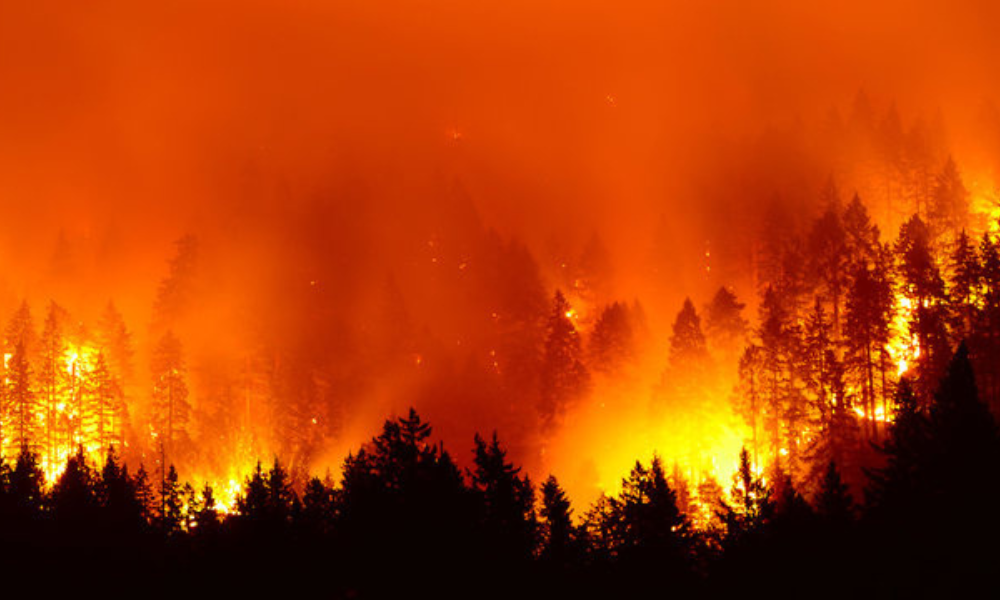 California’s FAIR Plan carries growing load as insurers retreat beyond wildfire zones