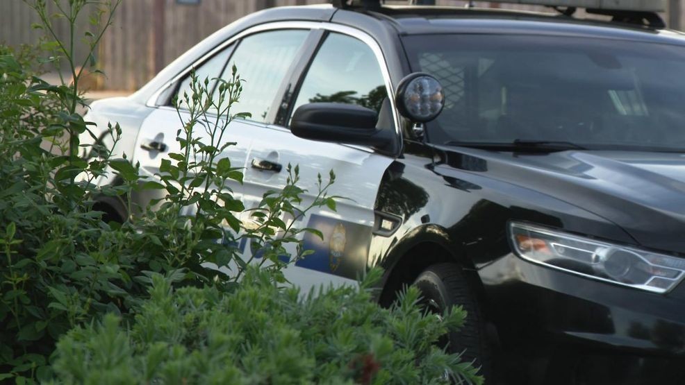 police car.jpg