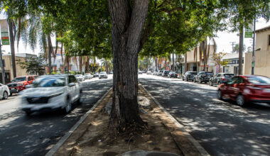 Long Beach’s streets are too dangerous, solutions too slow, City Council says • Long Beach Post News