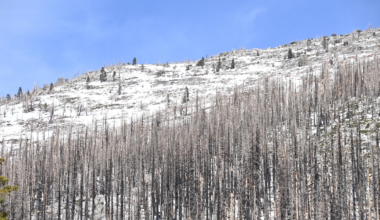 Despite Historic February Storm Activity, California's Snowpack Is Well Below Average