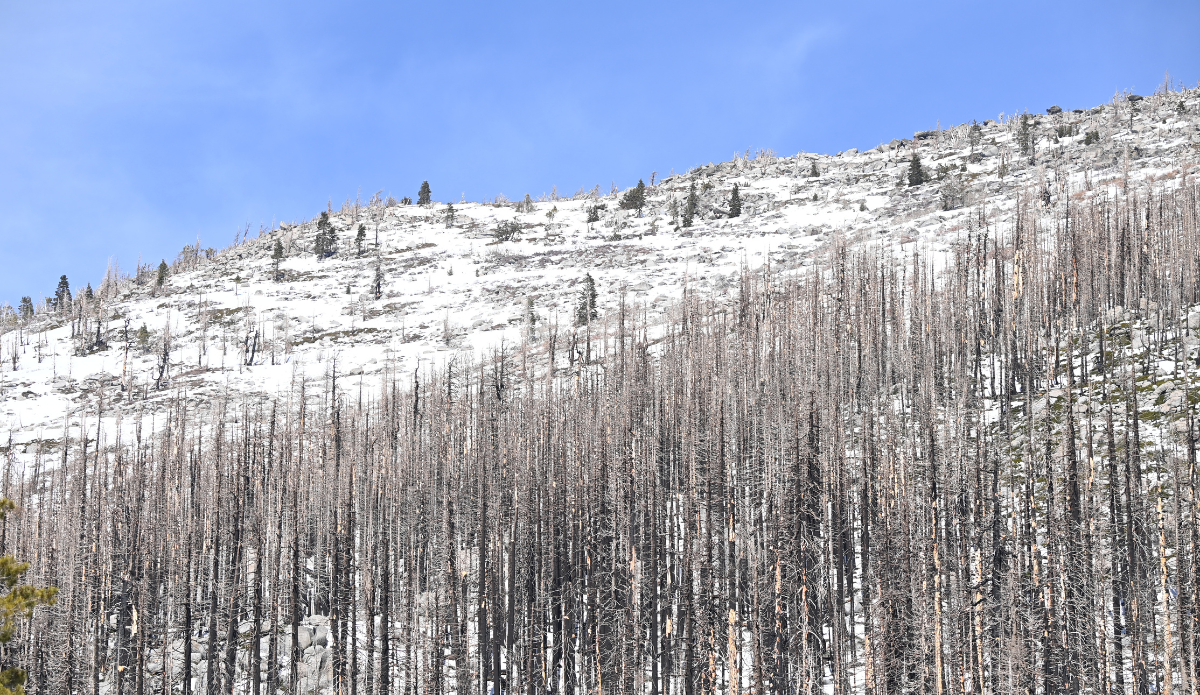 Despite Historic February Storm Activity, California's Snowpack Is Well Below Average