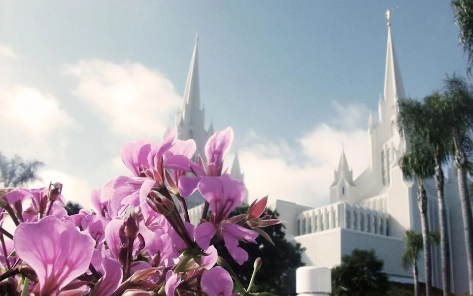 Purple flowers with an LDS Church temple in the background