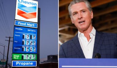 California gas prices face 'crippling' state economy: Chevron president