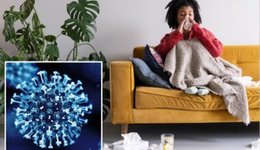 HMPV virus with no vaccine is spreading in California