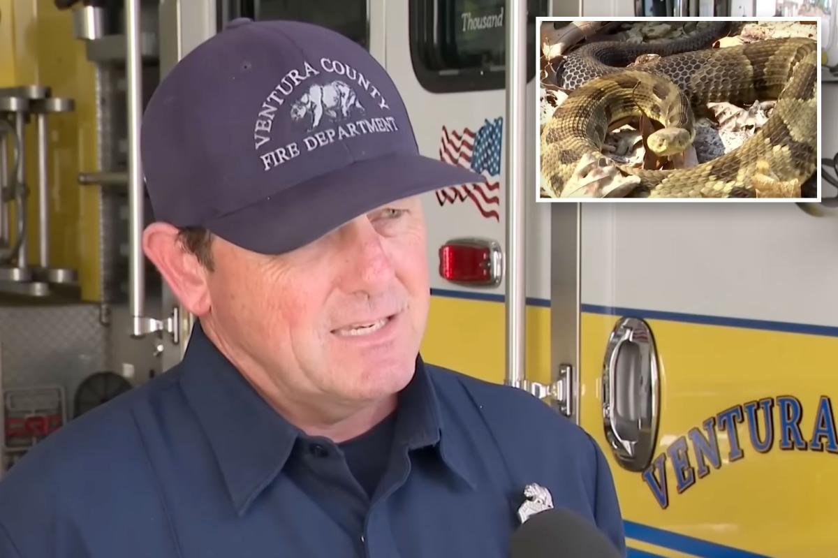 Teen bitten by rattlesnake in Ventura County amid heat wave