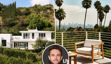 Zedd drops $500K off the price of his Los Angeles home