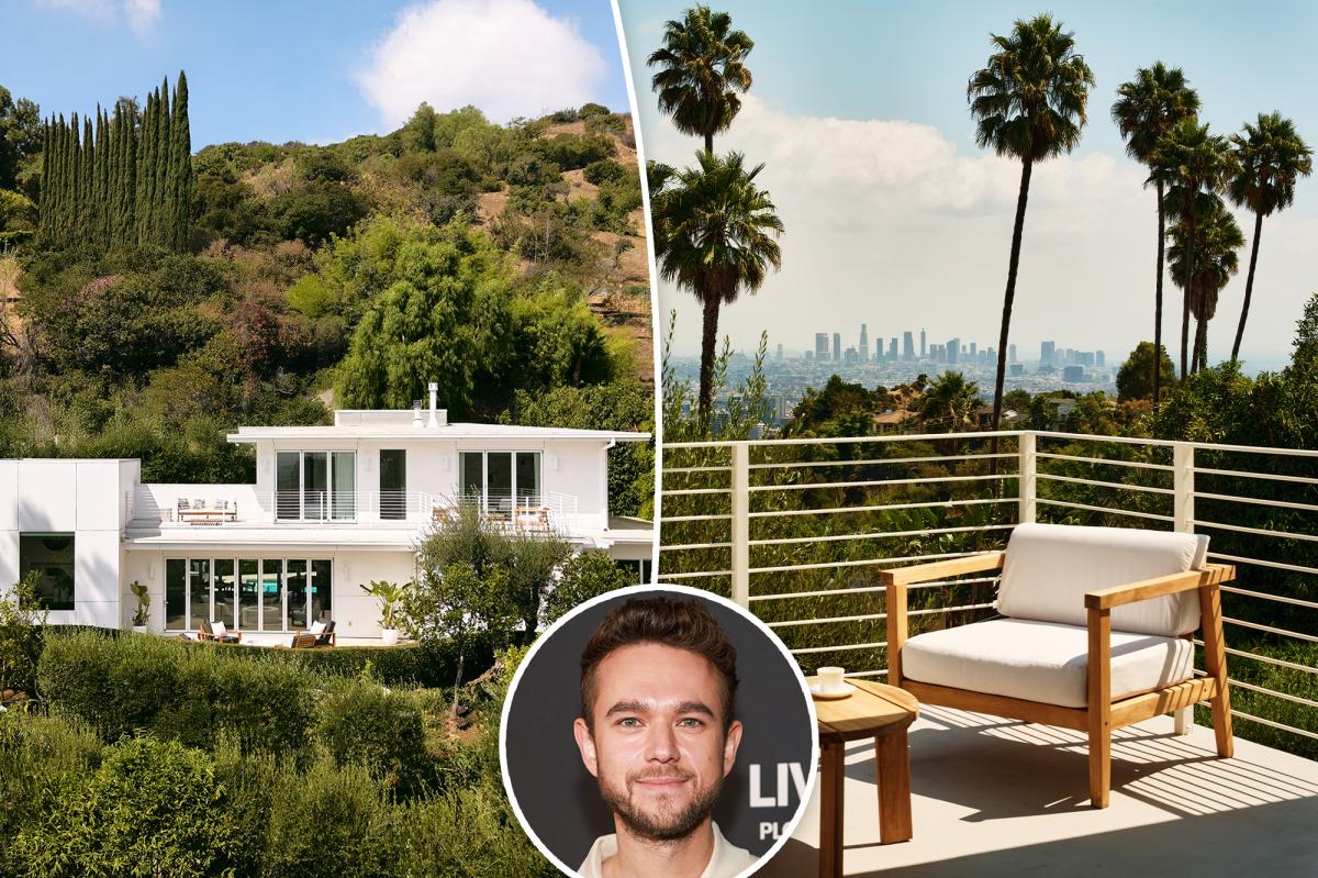 Zedd drops $500K off the price of his Los Angeles home