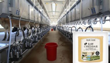 California raw milk farmer tied to E. Coli outbreak