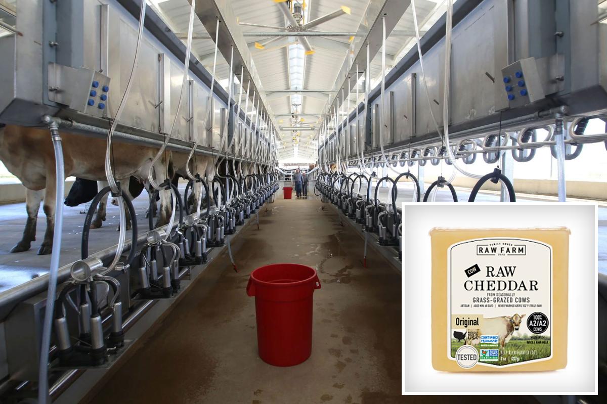 California raw milk farmer tied to E. Coli outbreak