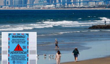 Beloved California beach reopens after disgusting incident -- experts say whether it's safe to swim