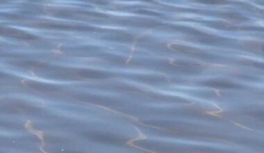 Warm weather draws families to Sacramento rivers amid safety warnings