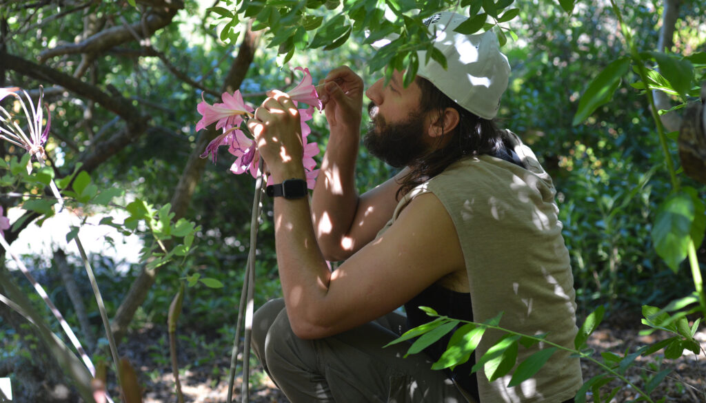 a man in cap and beard squatting to inspect a pink bell-shaped flower
