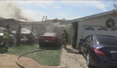 National City family loses 3 dogs in house fire