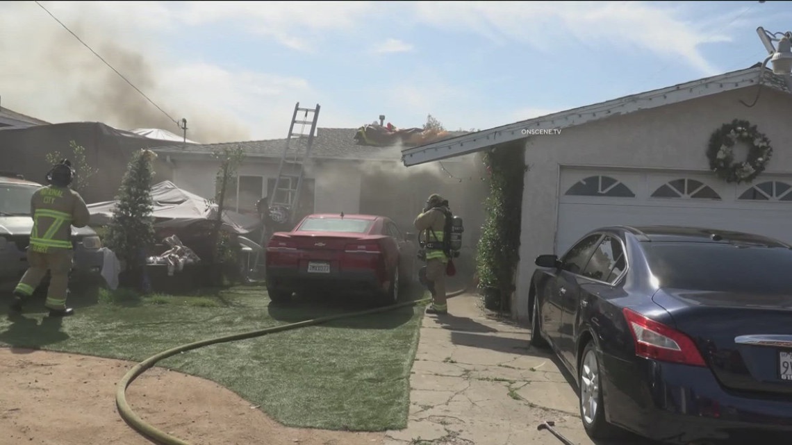 National City family loses 3 dogs in house fire