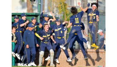 Check out our OC photographers’ favorite images from February 2026 – Orange County Register