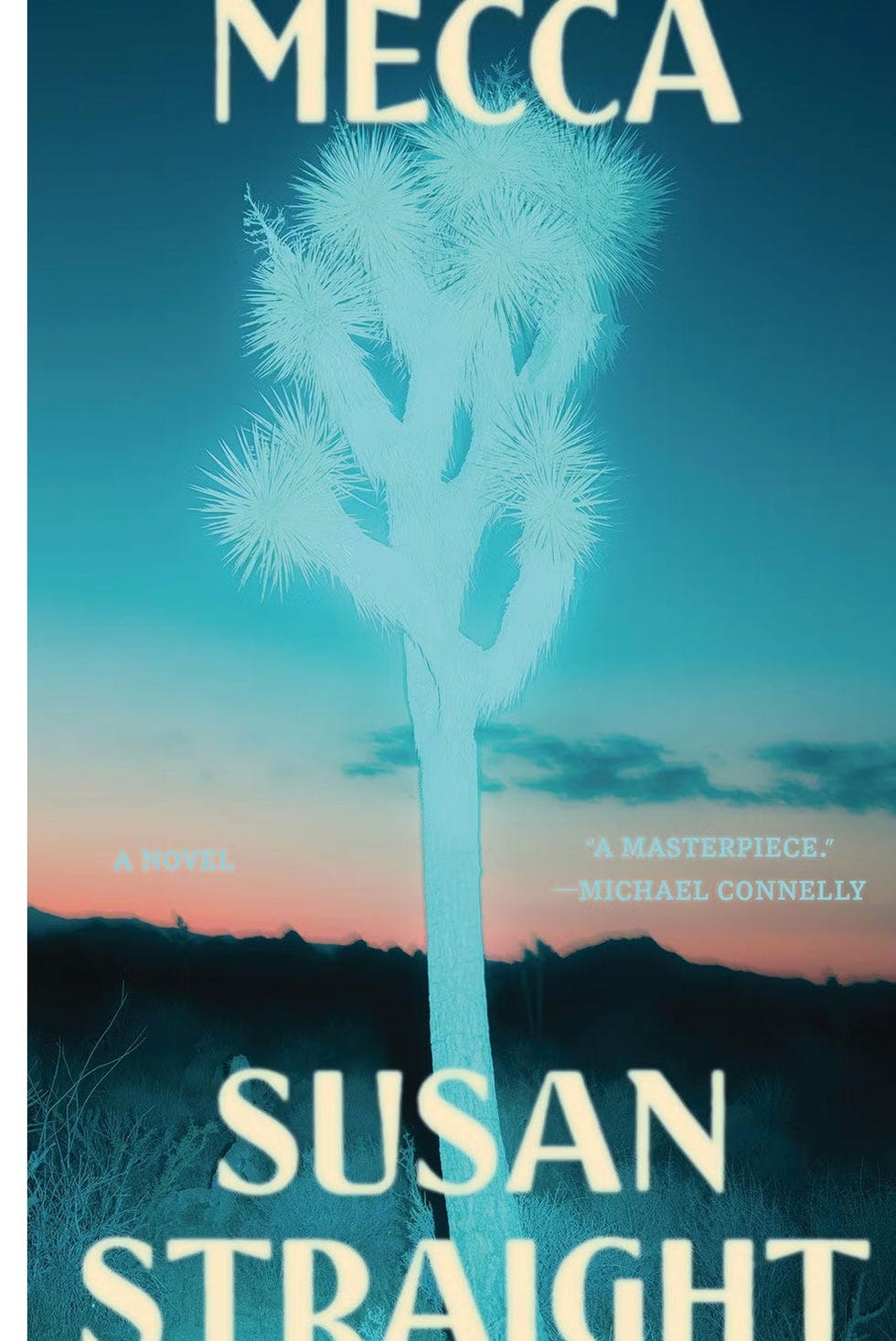 <i>MECCA</i>, BY SUSAN STRAIGHT