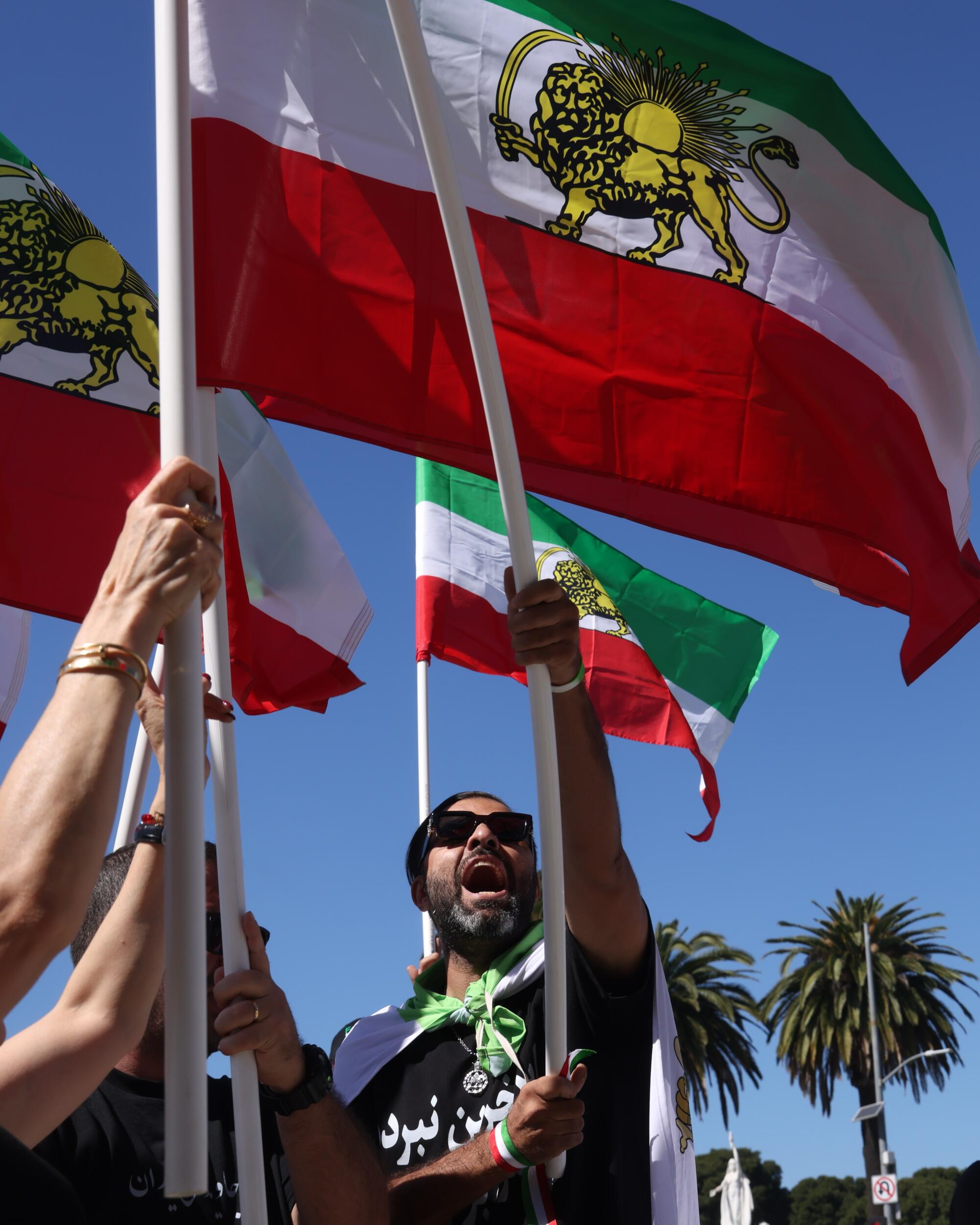 a man raises the historical Iranian Lion and Sun flag during a rally