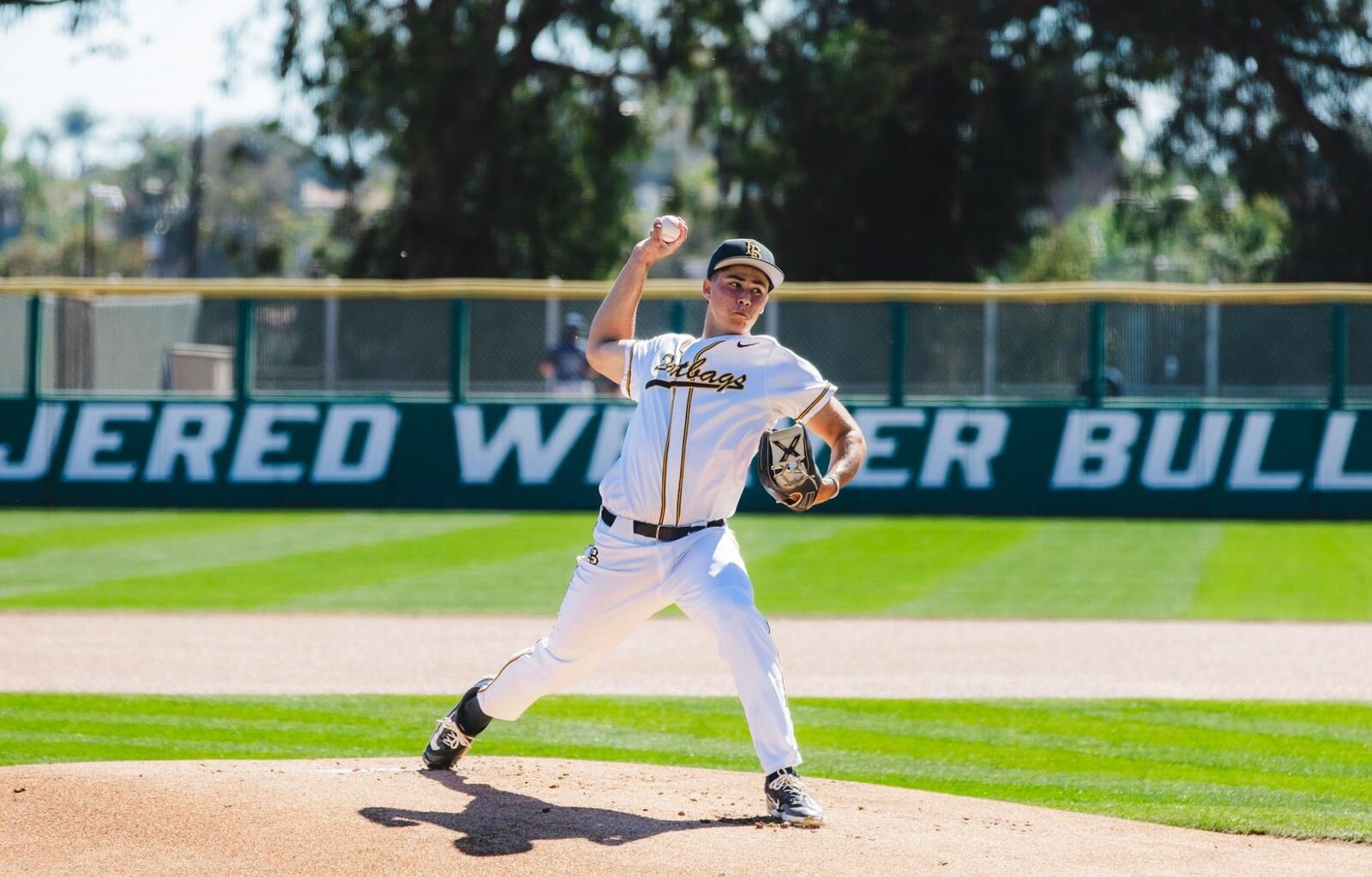 Washington State University Logo