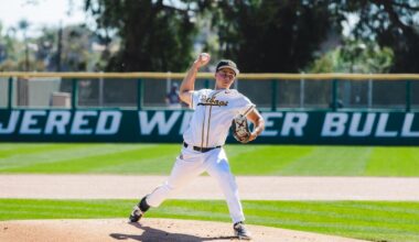 Washington State University Logo