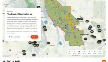 Hipcamp Launches Interactive California Superbloom Forecast Built From 150,000+ iNaturalist Observations