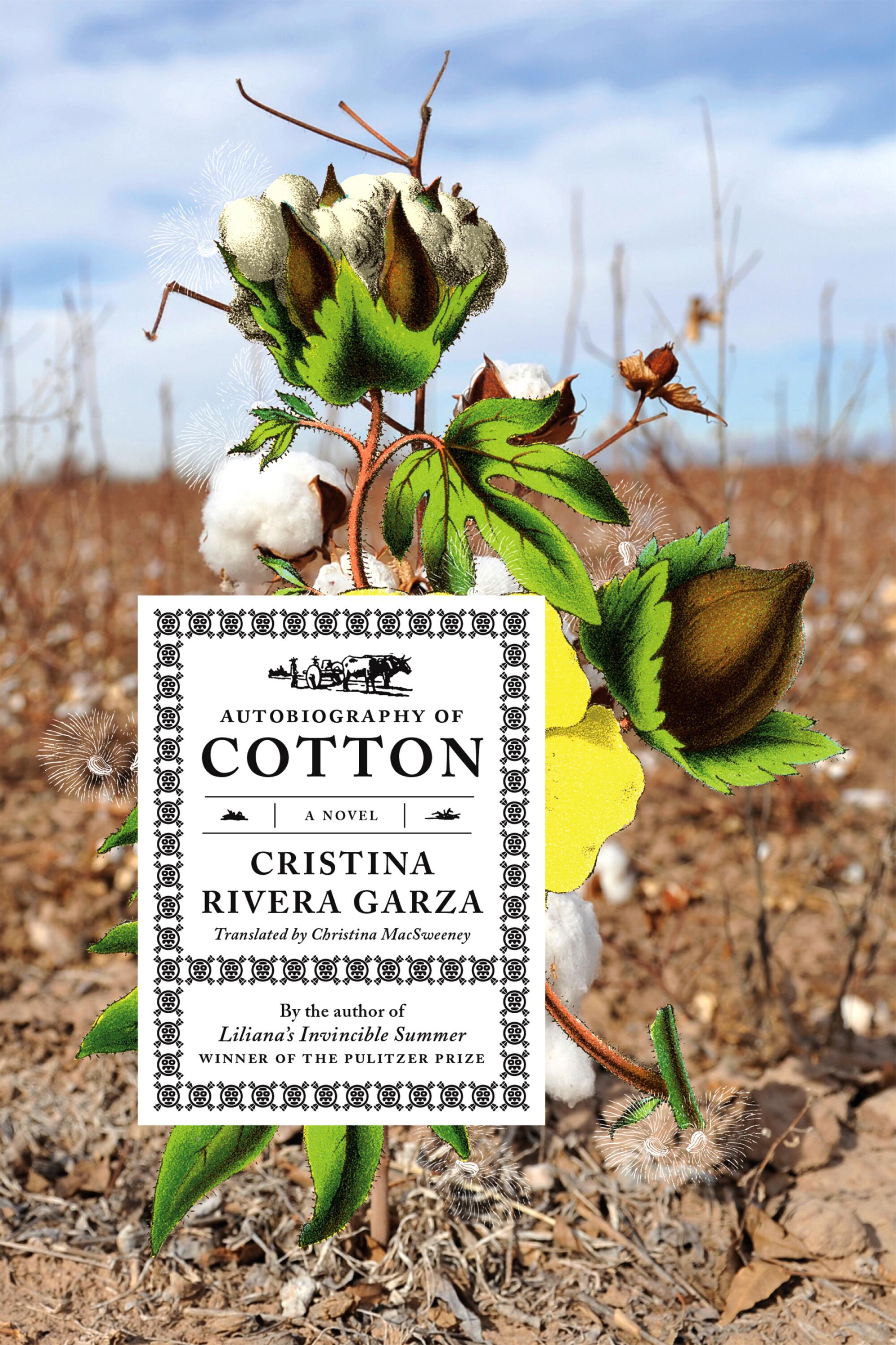 "Autobiography of Cotton: A Novel" by Cristina Rivera Garza