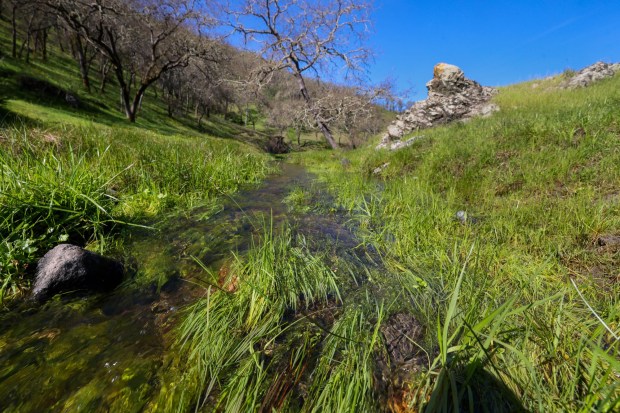 The Peninsula Open Space Trust, a nonprofit environmental group based in Palo Alto, purchased Mead Ranch in Morgan Hill, Calif., as seen on Friday, Feb. 27, 2026. The 1,921-acre property between San Jose and Morgan Hill had been owned by members of the Bechtel family and sold for $24.3 million. (Ray Chavez/Bay Area News Group)
