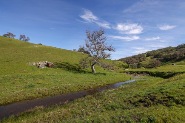 The Peninsula Open Space Trust, a nonprofit environmental group based in Palo Alto, purchased Mead Ranch in Morgan Hill, Calif., as seen on Friday, Feb. 27, 2026. The 1,921-acre property between San Jose and Morgan Hill had been owned by members of the Bechtel family and sold for $24.3 million. (Ray Chavez/Bay Area News Group)