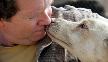 Founder of SoCal animal rescue accused of attempting to kidnap former employee