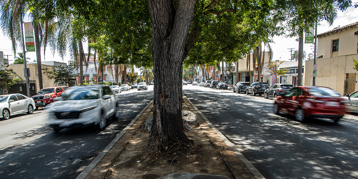 Long Beach’s streets are too dangerous, solutions too slow, City Council says • Long Beach Post News