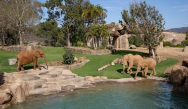 March 6–8 – Trunk Show