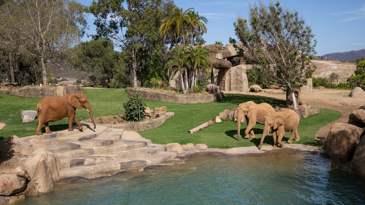 March 6–8 – Trunk Show