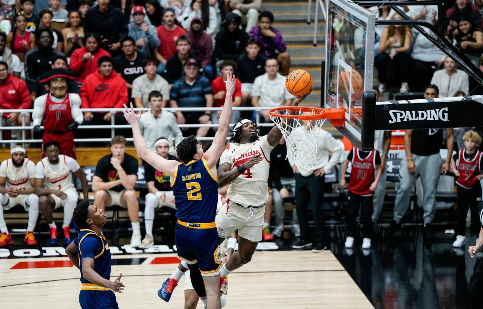 Cal State Fullerton F Logo