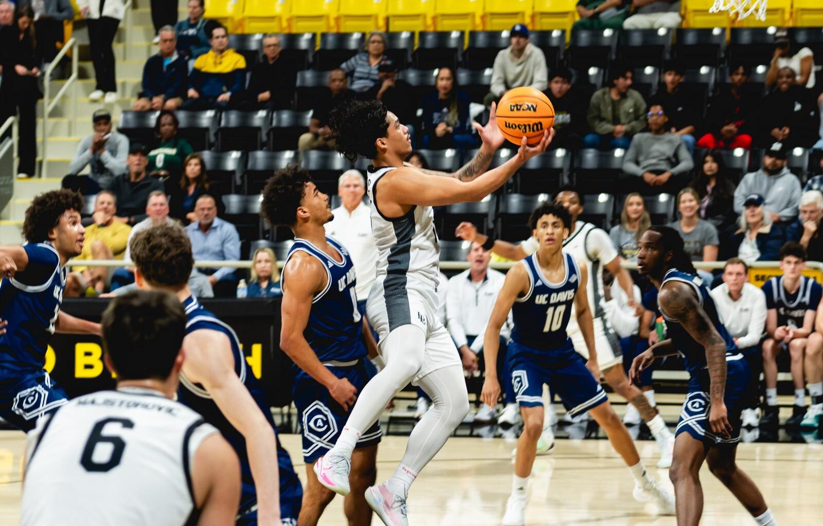 University of Hawaii Logo