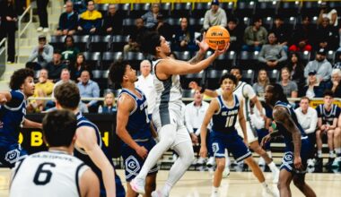 University of Hawaii Logo