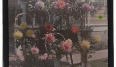 Rooted in history: Celebrating a century of the Coronado Flower Show