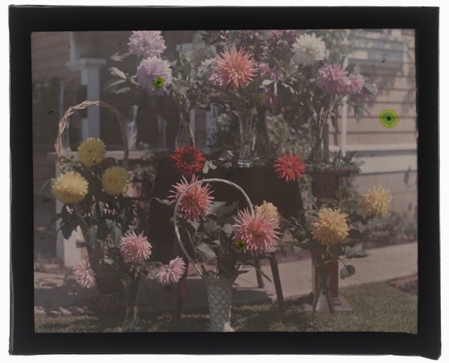 Rooted in history: Celebrating a century of the Coronado Flower Show