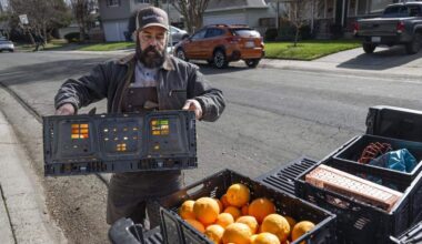 Community Fruit connects Sacramento citrus to the hungry
