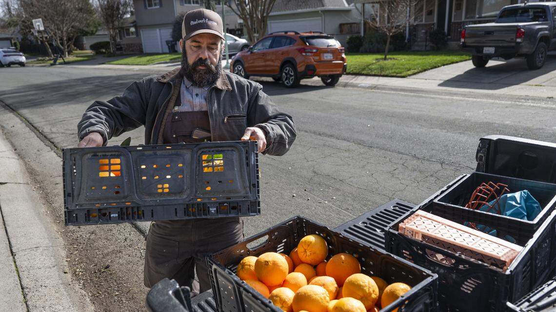 Community Fruit connects Sacramento citrus to the hungry