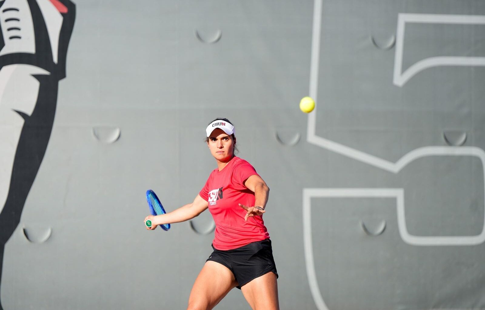 Weber State University Logo