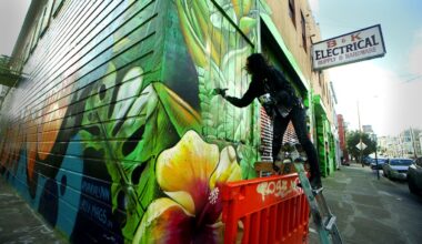 Bay Area mural artist bringing nature to barren walls – NBC Bay Area