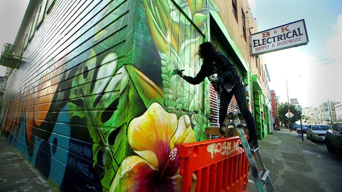 Bay Area mural artist bringing nature to barren walls – NBC Bay Area